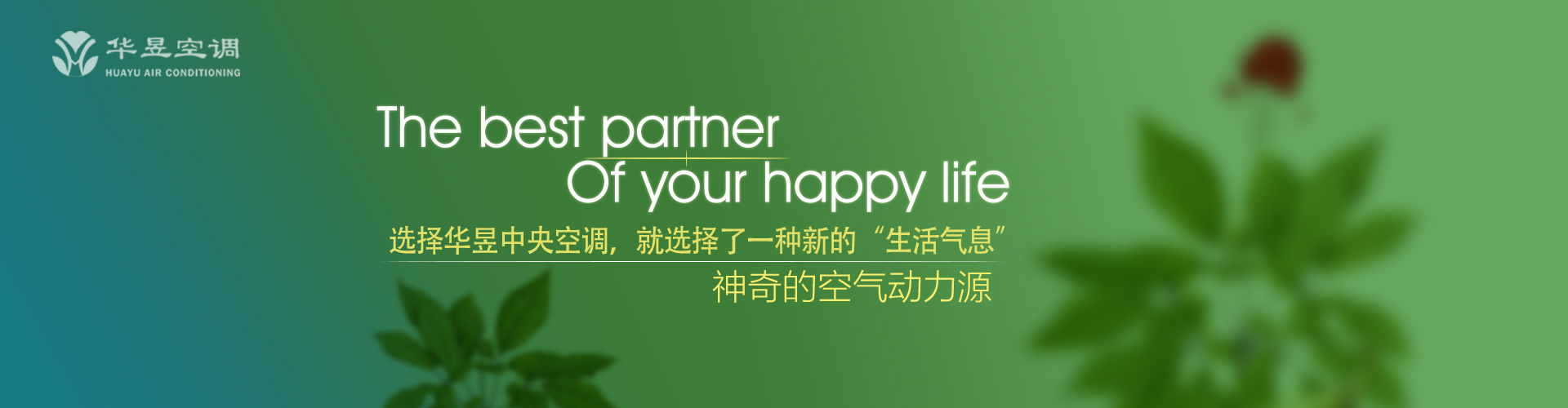 别开蹊径网
